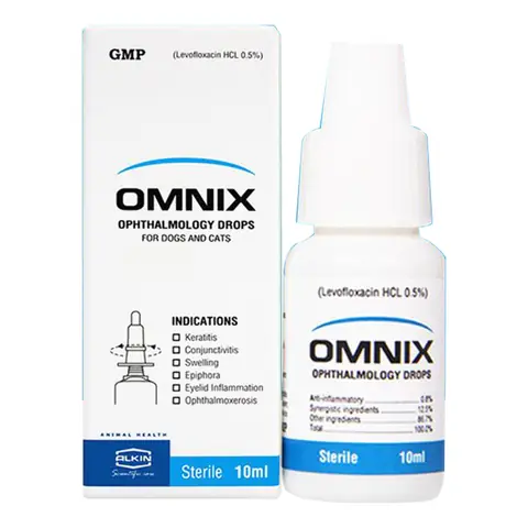Thuốc Nhỏ Mắt Cho Chó Omnix: Thông Tin Chuyên Sâu Về Công Dụng, Liều Dùng Và An Toàn Thuốc Nhỏ Mắt Cho Chó Omnix: Thông Tin Chuyên Sâu Về Công Dụng, Liều Dùng Và An Toàn