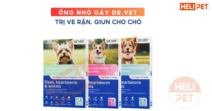 Sử Dụng Thuốc Trị Ve Rận Cho Chó