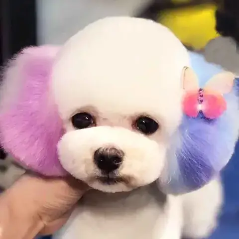 Sử Dụng Màu Thực Phẩm