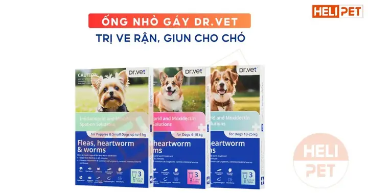Sử Dụng Thuốc Trị Ve Rận Cho Chó Sử Dụng Thuốc Trị Ve Rận Cho Chó