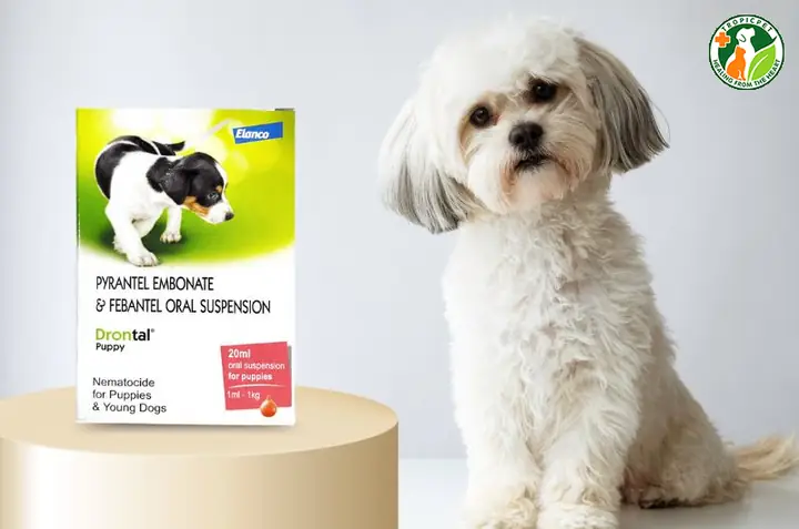 Drontal Dạng Nước