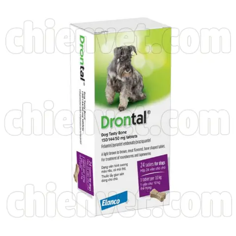 Thuốc Tẩy Giun Cho Chó Drontal Plus: Hướng Dẫn Sử Dụng Chi Tiết Và An Toàn