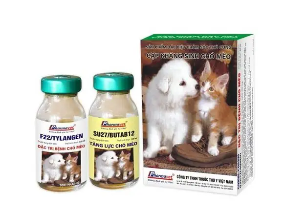 Thuốc Thú Y Chó Mèo: Hướng Dẫn Sử Dụng An Toàn Từ Chuyên Gia