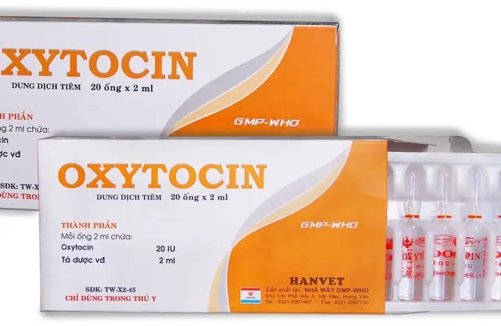 Thuốc Trợ Tim Cho Chó: Hiểu Rõ Về Công Dụng Và Lưu Ý Quan Trọng Thuốc Trợ Tim Cho Chó: Hiểu Rõ Về Công Dụng Và Lưu Ý Quan Trọng