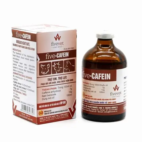 Thuốc Trợ Tim Cho Chó: Hiểu Rõ Về Công Dụng Và Lưu Ý Quan Trọng Thuốc Trợ Tim Cho Chó: Hiểu Rõ Về Công Dụng Và Lưu Ý Quan Trọng