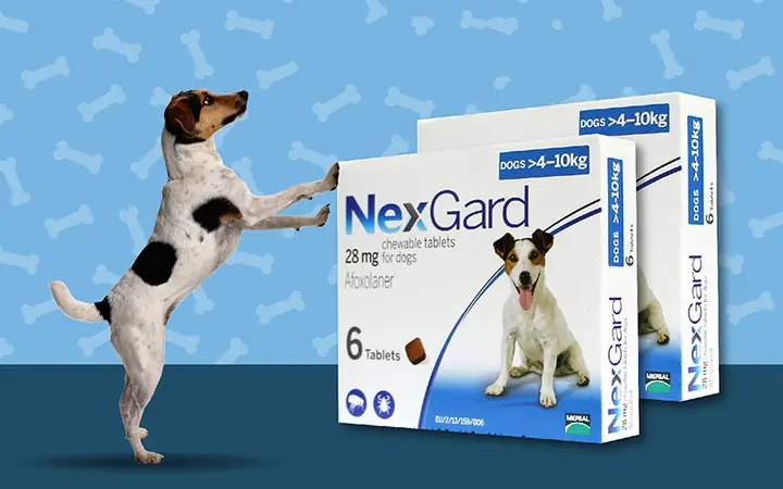 So Sánh Thuốc Uống Trị Ve Chó Nexgard Và Bravecto: Loại Nào Phù Hợp Cho Thú Cưng Của Bạn?