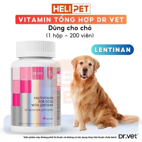 Vitamin Tổng Hợp Cho Chó Dr.vet Chứa Lentinan Vitamin Tổng Hợp Cho Chó Dr.vet Chứa Lentinan