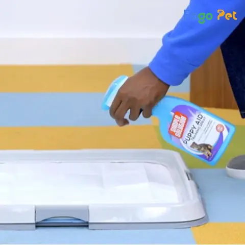 Ưu Điểm Của Thuốc Xịt Chó Mèo Đi Vệ Sinh Đúng Chỗ Ưu Điểm Của Thuốc Xịt Chó Mèo Đi Vệ Sinh Đúng Chỗ