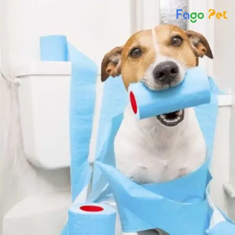 Các Tiêu Chí Lựa Chọn Khi Mua Chai Xịt Chó Mèo Đi Vệ Sinh Đúng Chỗ Các Tiêu Chí Lựa Chọn Khi Mua Chai Xịt Chó Mèo Đi Vệ Sinh Đúng Chỗ