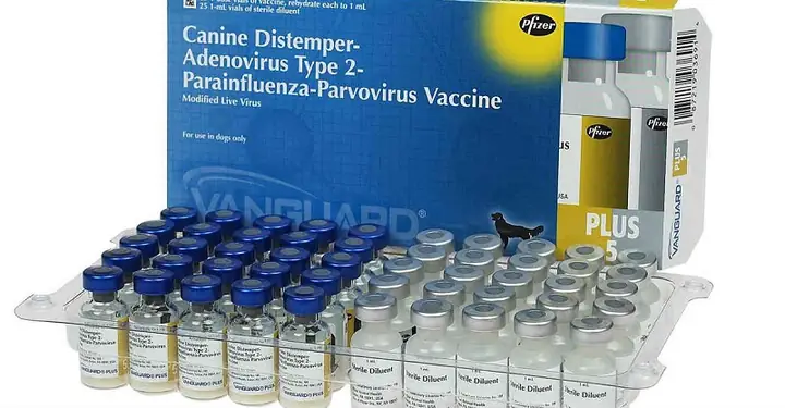 Các Loại Vaccine Cần Tiêm Phòng Cho Chó