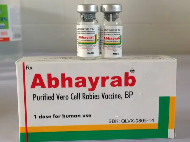 Nếu Chỉ Tiêm 3 Mũi Vắc Xin Có Kháng Dại Được Không?