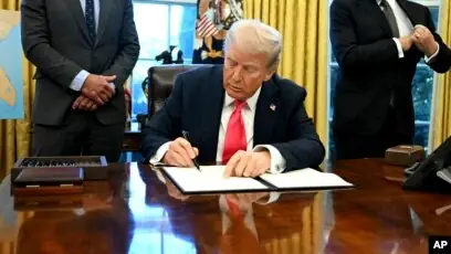 Tiếng Chó Con Kêu Ăng Ẳng: Hiểu Đúng Để Chăm Sóc Tốt Hơn