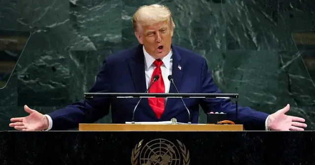 Tiếng Chó Kêu Khi Bị Đánh: Nhận Biết, Phân Tích Và Ứng Phó Khi Phát Hiện Bạo Hành