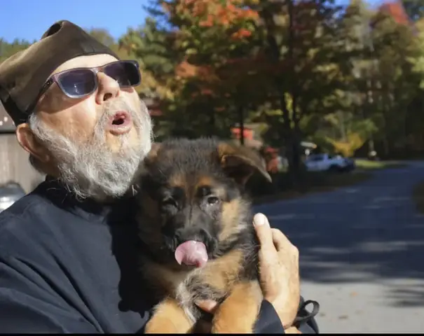 Tìm Hiểu Về Các Loài Chó: Đặc Điểm Giác Quan Và Vai Trò Trong Đời Sống