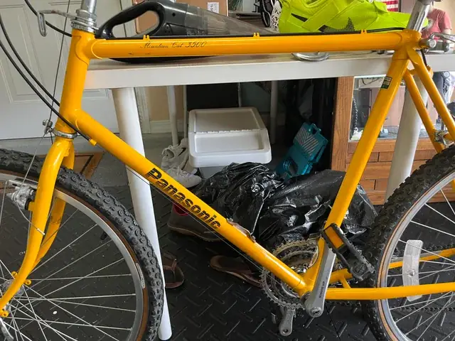 Tìm Mua Chó Phốc Hươu: Hướng Dẫn Chi Tiết Từ A-z Cho Người Mới Nuôi