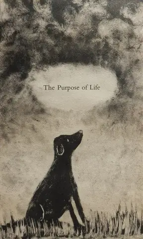 Tôi Có Một Con Chó Màu Đen