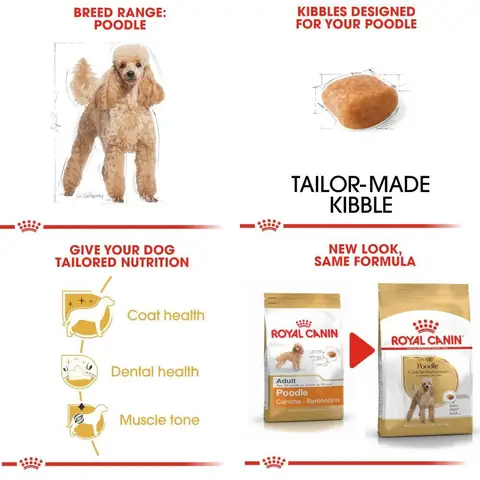 Hạt Cho Chó Poodle Trưởng Thành Royal Canin Poodle Adult