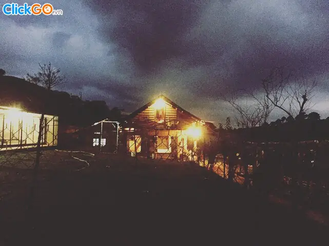 Cafe Và Ẩm Thực