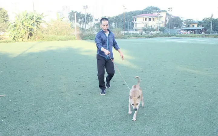 Trại Chó Cảnh Ở Hà Nội