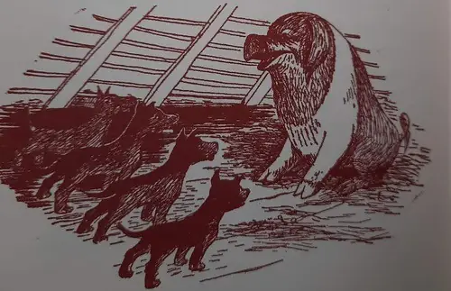 Trại Chó Giống Bùi Kiên: Tổng Quan Và Thông Tin Cần Biết