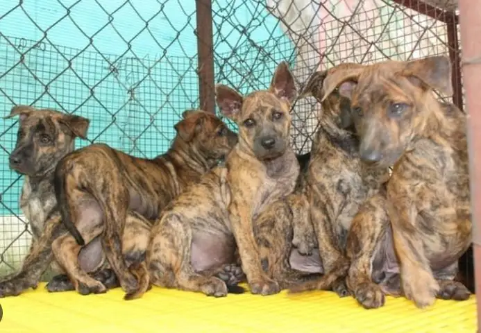 Screenshot_1717744371 Screenshot_1717744371