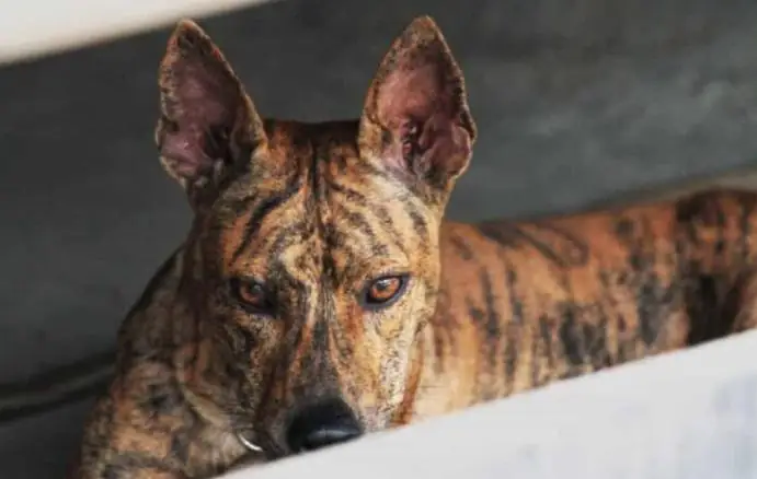 Screenshot_1717744246 Screenshot_1717744246