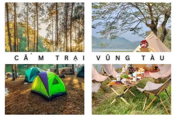 Trại Chó Minh Phúc Vũng Tàu: Tổng Quan Về Hoạt Động, Chức Năng Và Giá Trị Bảo Tồn