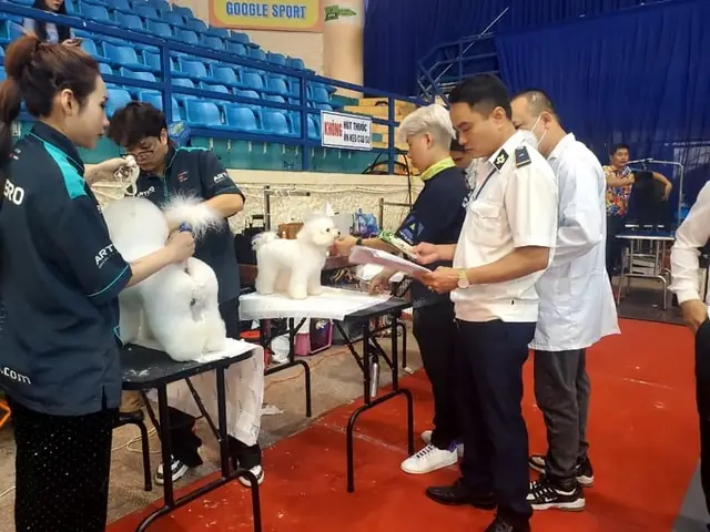 Trại Chó Phú Quốc Tiền Tỷ Và Ước Mơ Vươn Tầm Thế Giới Trại Chó Phú Quốc Tiền Tỷ Và Ước Mơ Vươn Tầm Thế Giới