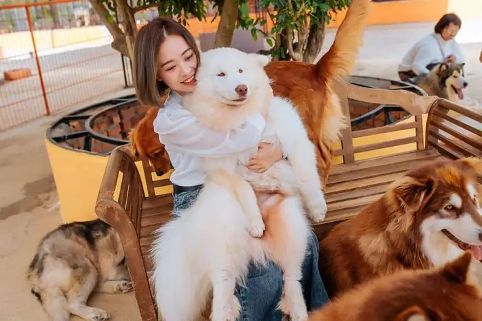 Trại Chó Ở Đà Lạt: Khám Phá Puppy Farm Và Những Điều Du Khách Nên Biết