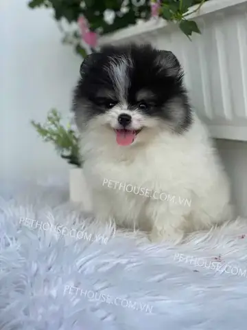 Kết Luận Kết Luận