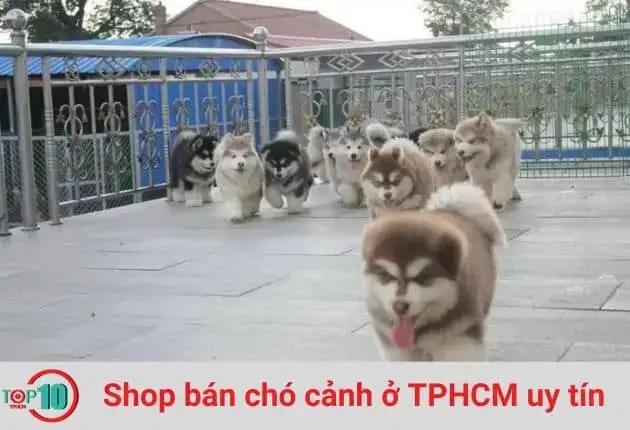 Kết Luận Kết Luận