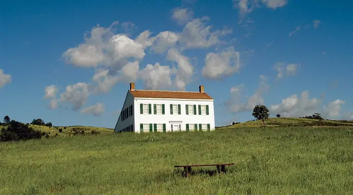 Trang Trại Chó Giống Thanh Hóa: Tổng Quan Về Hoạt Động Nhân Giống Và Chăm Sóc Chó Tại Thanh Hóa