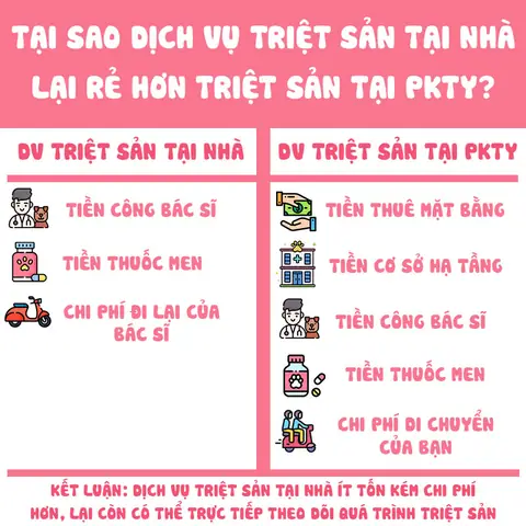Tại Sao Dịch Vụ Triệt Sản Tại Nhà Lại Rẻ Hơn So Với Đi Phòng Khám Thú Y.
