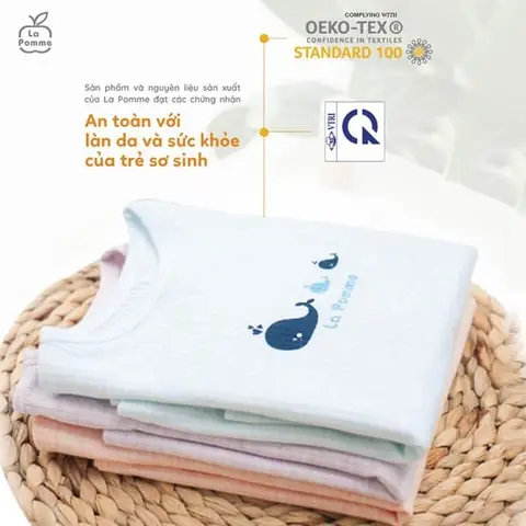 Trò Chuyện Với Chú Chó Trắng Nhật Bản Trò Chuyện Với Chú Chó Trắng Nhật Bản