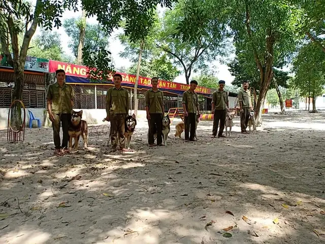 Trung Tâm Huấn Luyện Chó Ở Bình Dương