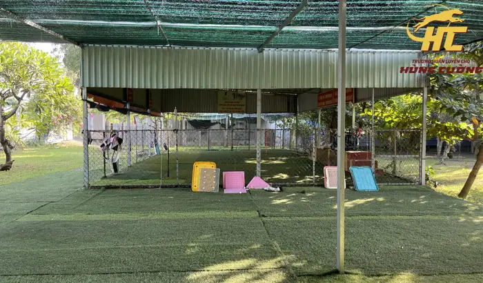 Trường Huấn Luyện Chó Bình Dương