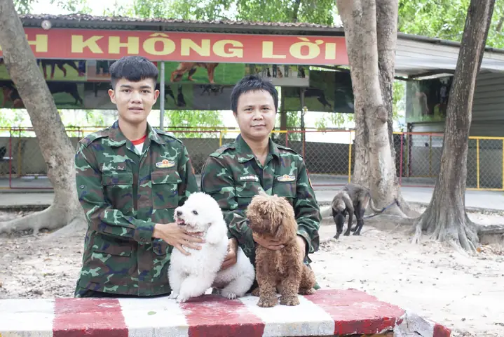 Chế Độ Chăm Sóc Chó