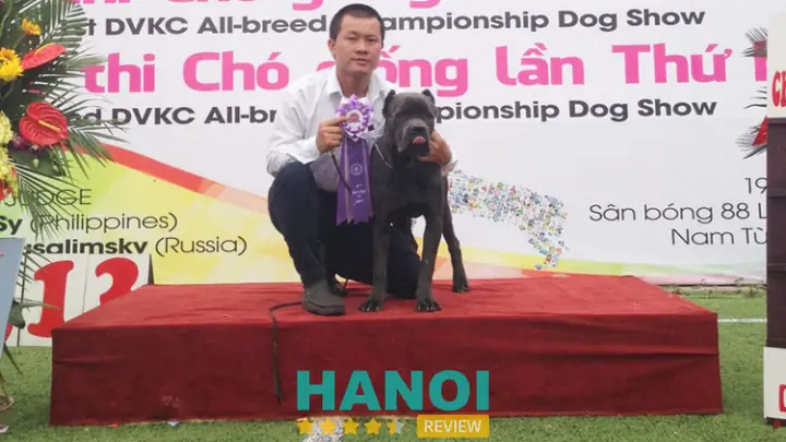 Trung Tâm Huấn Luyện Chó Hoàng Gia Trung Tâm Huấn Luyện Chó Hoàng Gia