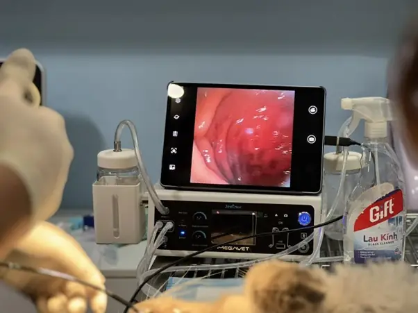 Giá Dịch Vụ Test & Xét Nghiệm