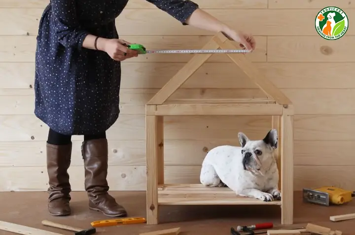 Cá Nhân Hoá Không Gian Sinh Hoạt Của Thú Cưng Và Gia Đình