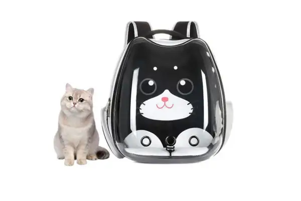Ưu Điểm Khi Sử Dụng Balo Trong Suốt Cho Mèo
