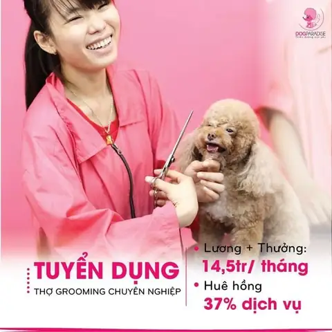 Tuyển Thợ Cắt Tỉa Lông Chó: Hướng Dẫn Chi Tiết Từ A-z Tuyển Thợ Cắt Tỉa Lông Chó: Hướng Dẫn Chi Tiết Từ A-z