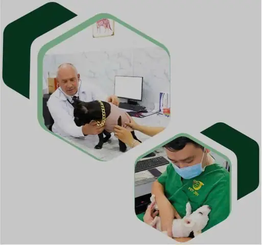 Dịch Vụ Dịch Vụ