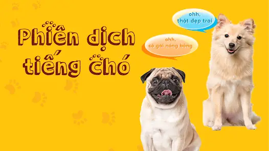 Ứng Dụng Dịch Tiếng Chó Mèo: Công Nghệ Hay Ảo Tưởng?