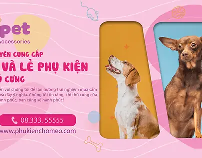 Upet Phụ Kiện Chó Mèo: Hướng Dẫn Chọn Mua Và Sử Dụng An Toàn Cho Thú Cưng