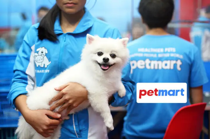 Vacxin 5 Bệnh Cho Chó Merial: Thông Tin Cần Biết Từ Chuyên Gia Bảo Vệ Động Vật Vacxin 5 Bệnh Cho Chó Merial: Thông Tin Cần Biết Từ Chuyên Gia Bảo Vệ Động Vật