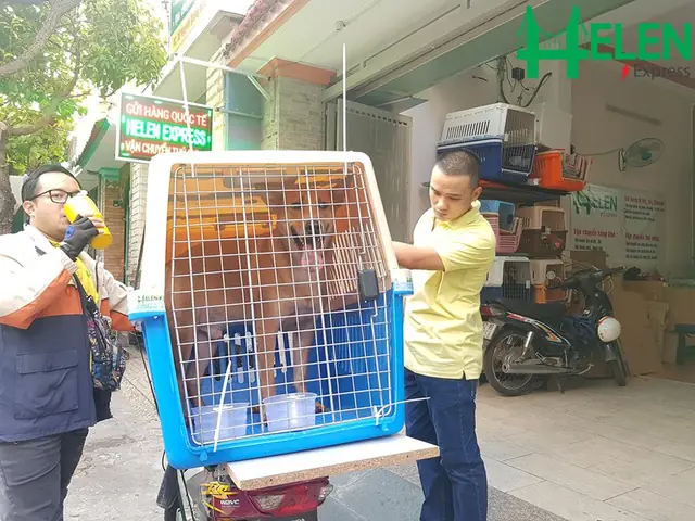 Một Số Loại Chi Phí Vận Chuyển Thú Cưng Trong Nước