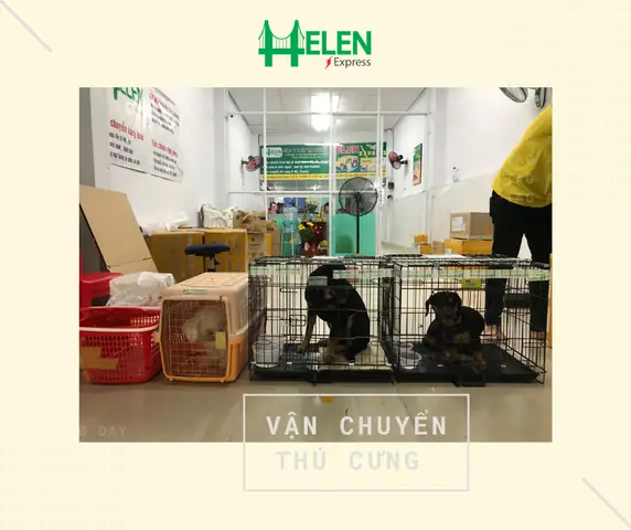 Cam Kết Của Helen Express