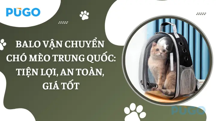 Balo Vận Chuyển Chó Mèo Trung Quốc: Tiện Lợi, An Toàn, Giá Tốt