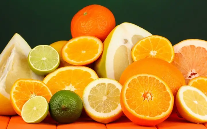 Ve Chó Sợ Mùi Gì? 7 Mùi Tự Nhiên Đuổi Ve Hiệu Quả, An Toàn Cho Thú Cưng